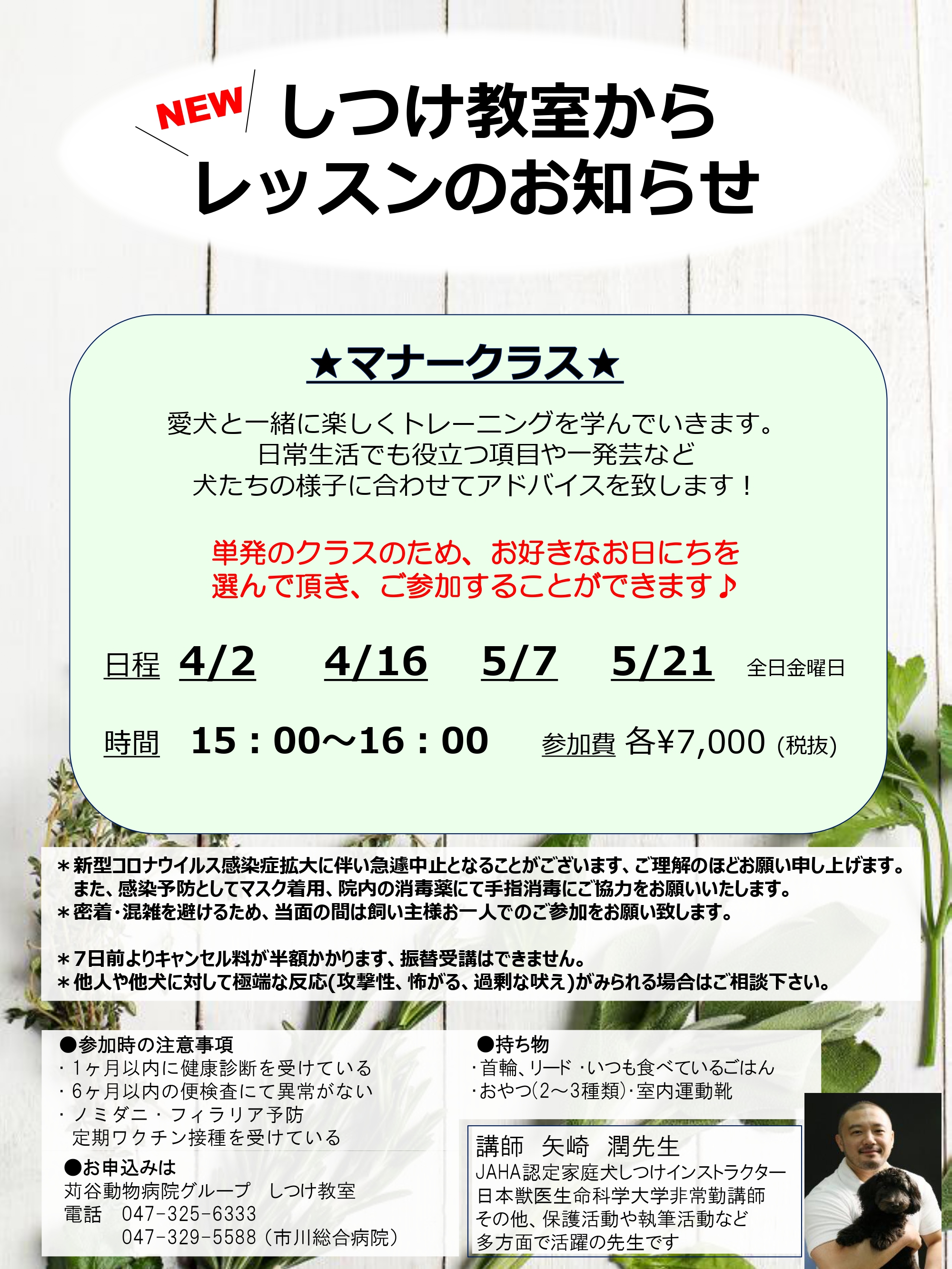 市川しつけ教室より 成犬クラス5月日程表 新着情報 苅谷動物病院グループ 東京 市川市に5つの病院を展開 年中無休